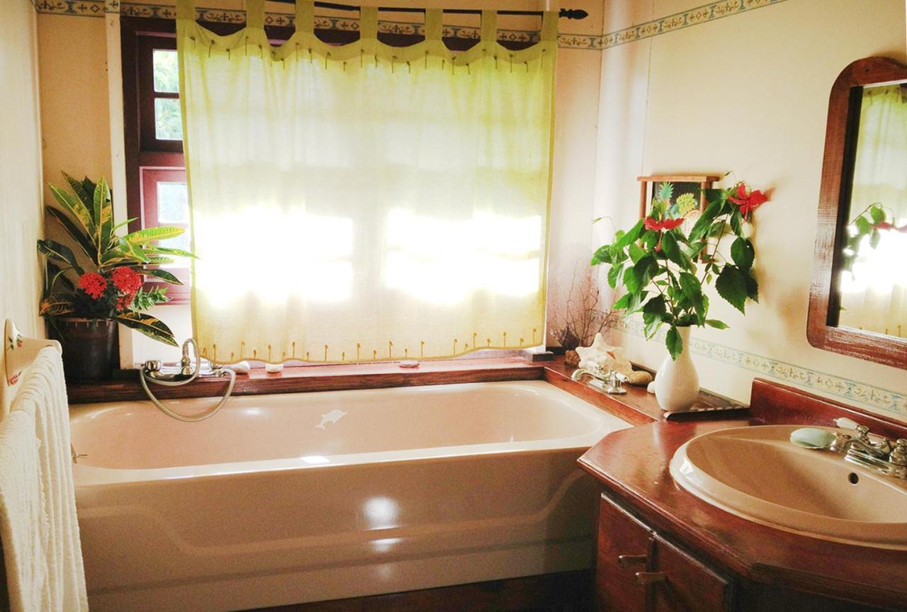 Creole House 2 Bedrooms With Garden Best View Rodney Bay 21 Gros Islet Extérieur photo
