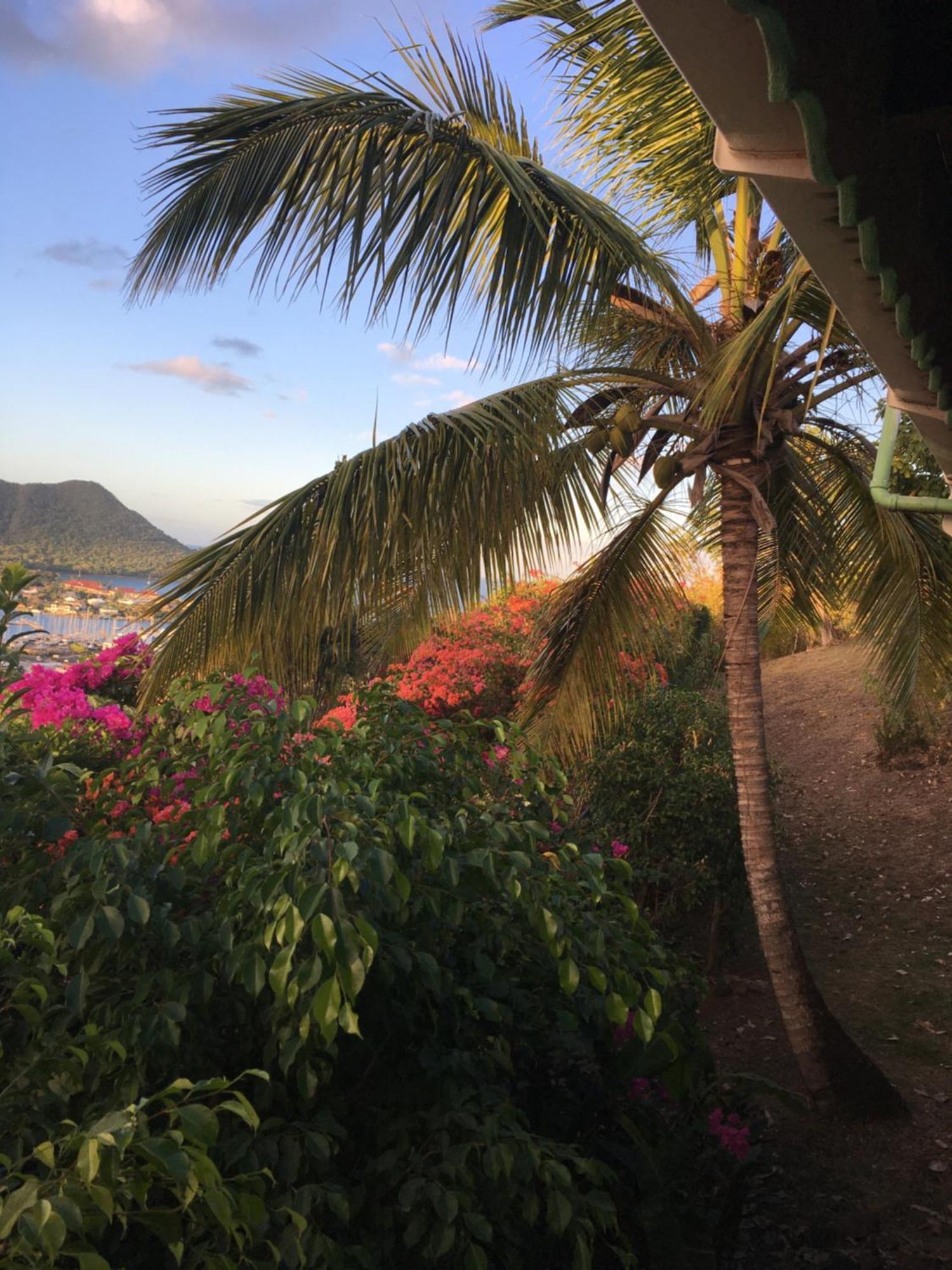 Creole House 2 Bedrooms With Garden Best View Rodney Bay 21 Gros Islet Extérieur photo